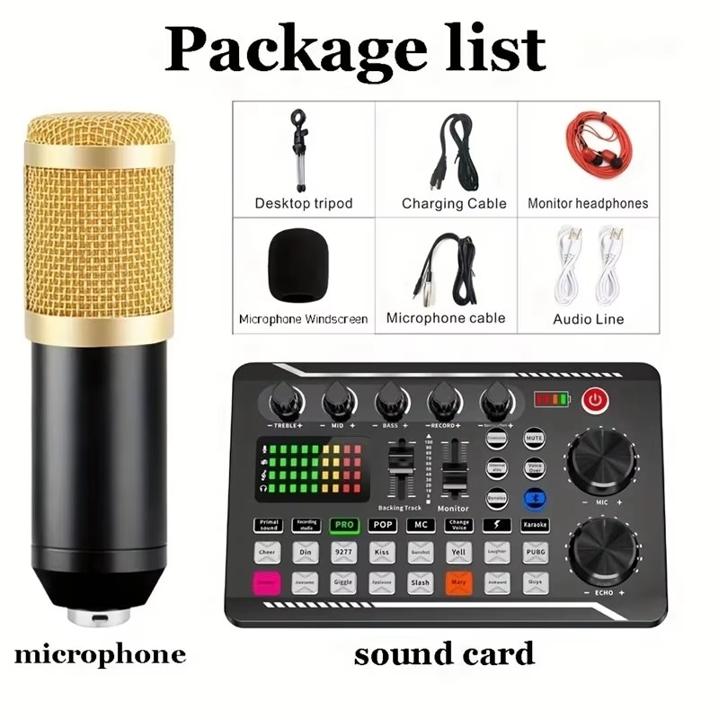 Audio Music Voice Changer - Microfono a condensatore professionale, mixer audio